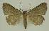  ( - BC EF Alc 01235)  @12 [ ] Copyright (2010) Unspecified Research Collection of Egbert Friedrich