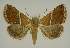  ( - BC EF Alc 01238)  @13 [ ] Copyright (2010) Unspecified Research Collection of Egbert Friedrich