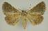  ( - BC EF Alc 01238)  @12 [ ] Copyright (2010) Unspecified Research Collection of Egbert Friedrich