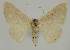  ( - BC EF Alc 01242)  @13 [ ] Copyright (2010) Unspecified Research Collection of Egbert Friedrich