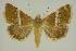  ( - BC EF Alc 01244)  @13 [ ] Copyright (2010) Unspecified Research Collection of Egbert Friedrich