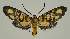  ( - BC EF Alc 01251)  @14 [ ] Copyright (2010) Unspecified Research Collection of Egbert Friedrich