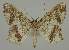  ( - BC EF Alc 01265)  @13 [ ] Copyright (2010) Unspecified Research Collection of Egbert Friedrich