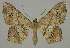  ( - BC EF Alc 01266)  @14 [ ] Copyright (2010) Unspecified Research Collection of Egbert Friedrich