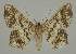  ( - BC EF Alc 01266)  @13 [ ] Copyright (2010) Unspecified Research Collection of Egbert Friedrich