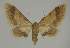  ( - BC EF Alc 01269)  @13 [ ] Copyright (2010) Unspecified Research Collection of Egbert Friedrich