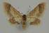  ( - BC EF Alc 01269)  @13 [ ] Copyright (2010) Unspecified Research Collection of Egbert Friedrich