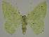  ( - BC EF Alc 01271)  @14 [ ] Copyright (2010) Unspecified Research Collection of Egbert Friedrich