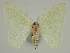  ( - BC EF Alc 01271)  @13 [ ] Copyright (2010) Unspecified Research Collection of Egbert Friedrich