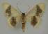  ( - BC EF Alc 01274)  @13 [ ] Copyright (2010) Unspecified Research Collection of Egbert Friedrich