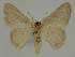  ( - BC EF Alc 01276)  @13 [ ] Copyright (2010) Unspecified Research Collection of Egbert Friedrich