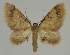  ( - BC EF Alc 01278)  @14 [ ] Copyright (2010) Unspecified Research Collection of Egbert Friedrich