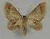  ( - BC EF Alc 01278)  @13 [ ] Copyright (2010) Unspecified Research Collection of Egbert Friedrich