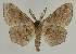  ( - BC EF Alc 01284)  @14 [ ] Copyright (2010) Unspecified Research Collection of Egbert Friedrich