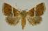  ( - BC EF Alc 01292)  @13 [ ] Copyright (2010) Unspecified Research Collection of Egbert Friedrich