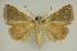  ( - BC EF Alc 01292)  @13 [ ] Copyright (2010) Unspecified Research Collection of Egbert Friedrich