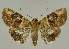  ( - BC EF Alc 01323)  @13 [ ] Copyright (2010) Unspecified Research Collection of Egbert Friedrich