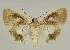  ( - BC EF Alc 01323)  @14 [ ] Copyright (2010) Unspecified Research Collection of Egbert Friedrich