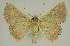  ( - BC EF Alc 01336)  @13 [ ] Copyright (2010) Unspecified Research Collection of Egbert Friedrich
