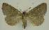  ( - BC EF Alc 01337)  @12 [ ] Copyright (2010) Unspecified Research Collection of Egbert Friedrich