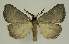  ( - BC EF Alc 01338)  @12 [ ] Copyright (2010) Unspecified Research Collection of Egbert Friedrich
