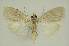  ( - BC EF Alc 01341)  @13 [ ] Copyright (2010) Unspecified Research Collection of Egbert Friedrich
