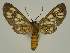  ( - BC EF Alc 01352)  @13 [ ] Copyright (2010) Unspecified Research Collection of Egbert Friedrich