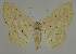  ( - BC EF Alc 01361)  @14 [ ] Copyright (2010) Unspecified Research Collection of Egbert Friedrich