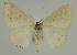  ( - BC EF Alc 01361)  @13 [ ] Copyright (2010) Unspecified Research Collection of Egbert Friedrich