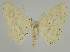  ( - BC EF Alc 01362)  @14 [ ] Copyright (2010) Unspecified Research Collection of Egbert Friedrich