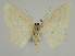  ( - BC EF Alc 01362)  @13 [ ] Copyright (2010) Unspecified Research Collection of Egbert Friedrich