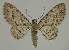  ( - BC EF Alc 01368)  @14 [ ] Copyright (2010) Unspecified Research Collection of Egbert Friedrich