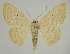  ( - BC EF Alc 01370)  @14 [ ] Copyright (2010) Unspecified Research Collection of Egbert Friedrich
