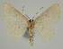  ( - BC EF Alc 01371)  @13 [ ] Copyright (2010) Unspecified Research Collection of Egbert Friedrich