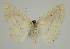  ( - BC EF Alc 01372)  @13 [ ] Copyright (2010) Unspecified Research Collection of Egbert Friedrich
