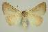  ( - BC EF Alc 01375)  @13 [ ] Copyright (2010) Unspecified Research Collection of Egbert Friedrich