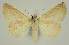  ( - BC EF Alc 01376)  @15 [ ] Copyright (2010) Unspecified Research Collection of Egbert Friedrich