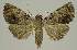  ( - BC EF Alc 01389)  @13 [ ] Copyright (2010) Unspecified Research Collection of Egbert Friedrich