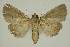  ( - BC EF Alc 01389)  @13 [ ] Copyright (2010) Unspecified Research Collection of Egbert Friedrich