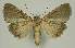  ( - BC EF Alc 01392)  @13 [ ] Copyright (2010) Unspecified Research Collection of Egbert Friedrich