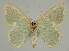  ( - BC EF Alc 01406)  @13 [ ] Copyright (2010) Unspecified Research Collection of Egbert Friedrich