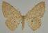  ( - BC EF Alc 01411)  @14 [ ] Copyright (2010) Unspecified Research Collection of Egbert Friedrich