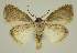  ( - BC EF Alc 01429)  @13 [ ] Copyright (2010) Unspecified Research Collection of Egbert Friedrich
