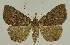  ( - BC EF Alc 01431)  @14 [ ] Copyright (2010) Unspecified Research Collection of Egbert Friedrich