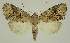  ( - BC EF Alc 01443)  @13 [ ] Copyright (2010) Unspecified Research Collection of Egbert Friedrich