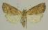  ( - BC EF Alc 01453)  @14 [ ] Copyright (2010) Unspecified Research Collection of Egbert Friedrich