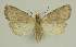  ( - BC EF Alc 01453)  @13 [ ] Copyright (2010) Unspecified Research Collection of Egbert Friedrich