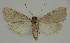  ( - BC EF Alc 01454)  @12 [ ] Copyright (2010) Unspecified Research Collection of Egbert Friedrich