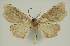  ( - BC EF Alc 01460)  @13 [ ] Copyright (2010) Unspecified Research Collection of Egbert Friedrich