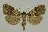  ( - BC EF Alc 01462)  @14 [ ] Copyright (2010) Unspecified Research Collection of Egbert Friedrich